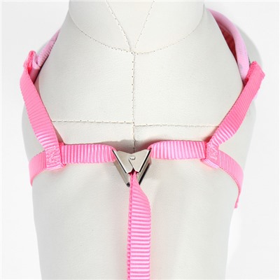 Комплект с мягкой шлейкой "Дэймон", размер М, поводок 120 х 1,2 см, розовый