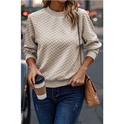 Beige Solid Textured Raglan Sleeve Pullover Sweatshirt