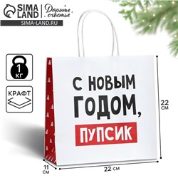 Пакет подарочный новогодний «С Новым годом, пупсик», 22 х 22 х 11 см , Новый год