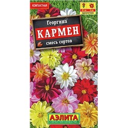 Георгина Кармен смесь (Аэлита)