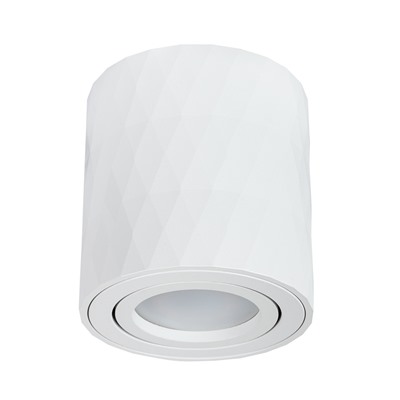 Точечный накладной светильник Arte Lamp FANG A5559PL-1WH