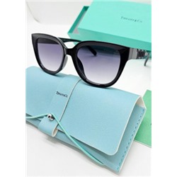 Набор солнцезащитные очки, коробка, чехол + салфетки #21169663