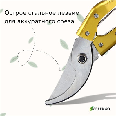 Секатор плоскостной, 8" (20 см), с металлическими ручками, МИКС, Greengo