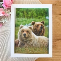 3Д картинка "Два медведя на траве" 14,5 х 19,5 см х М-0012, голографическая открытка с изображением медведей, без рамки