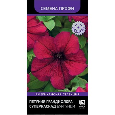 Петуния Суперкаскад Бургунди (Код: 92828)