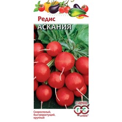 Редис Аскания (Гавр)