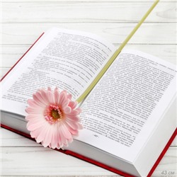 Цветок искусственный Гербера 43 см розовый / 1501 /уп 56/560/ латэкс