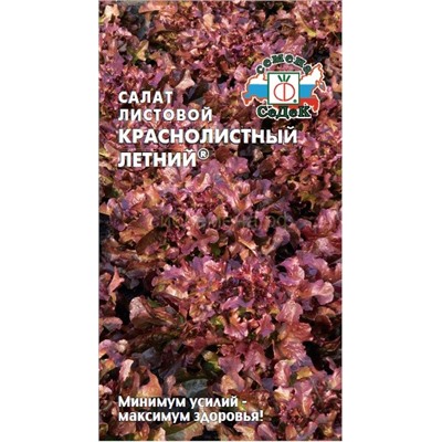 Салат Краснолистный летний (Седек)