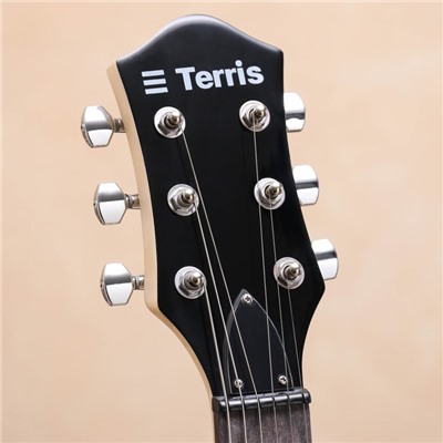 Электрогитара TERRIS TLP-039 BK Les Paul, HH, 2V2T, цвет черный