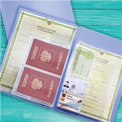 Папка для семейных документов с файлом для паспортов A4 ПВХ светло голубая 2137.П-124 ДПС