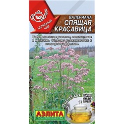 Валериана Спящая красавица (Аэлита)