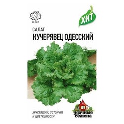 Салат Кучерявец Одесский ХИТ (Гавр)