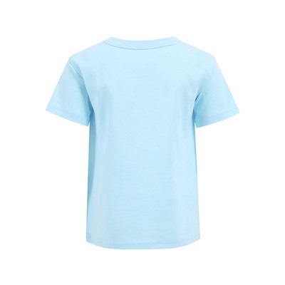 футболка 1ДДФК4327001; светло-голубой109 / Лисенок в платье