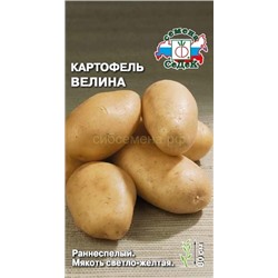 Картофель  Велина (седек)