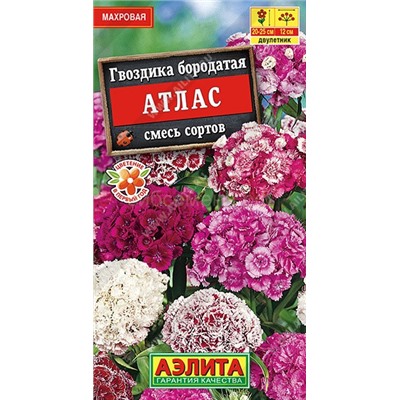 Гвоздика турецкая Атлас смесь (Аэлита)