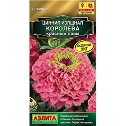 Цинния Королева красный лайм (Аэлита)