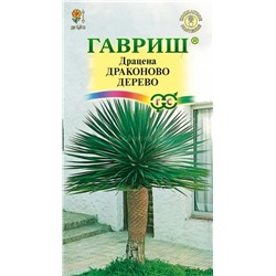 Драцена Драконово дерево (Гавр)