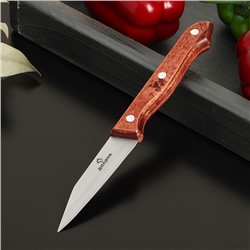 Нож для овощей кухонный Доляна Ecology, лезвие 8,5 см, цвет коричневый