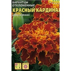 Бархатцы Красный кардинал отклон. (Аэлита)