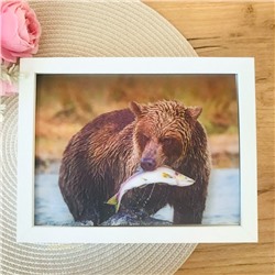 3Д картинка "Медведь, поймавший рыбу" 14,5 х 19,5 см х М-0019, голографическая открытка с изображением медведя, без рамки