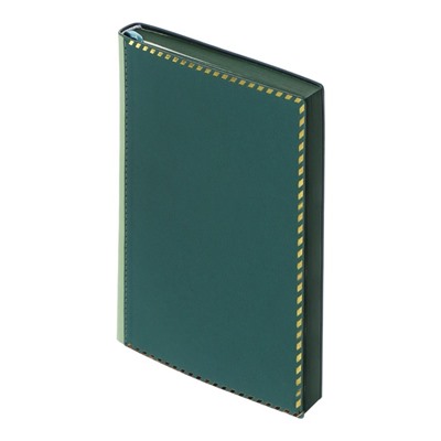 УЦЕНКА Ежедневник недатированный А5, 80 листов, кожзам, с ручкой, линия, в подарочной коробке, зеленый