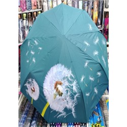 Зонт #21155789