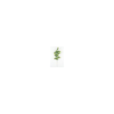 Искусственные цветы, Ветка зелени аспарагус(1010237) зеленый комбинированный