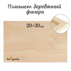 Планшет деревянный 20 х 30 х 2 см, фанера