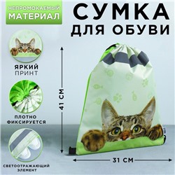Мешок для обуви со светоотражающим элементом «Забавный котёнок» 30 х 40 см