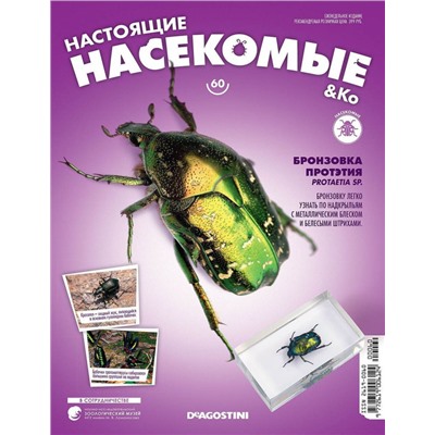 Журнал №60 "Настоящие насекомые" С ВЛОЖЕНИЕМ! Бронзовка протэтия