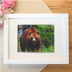 3Д картинка "Медведь в лесу" 9,5 х 14,5 см х М-0016, голографическая открытка с изображением медведя, без рамки