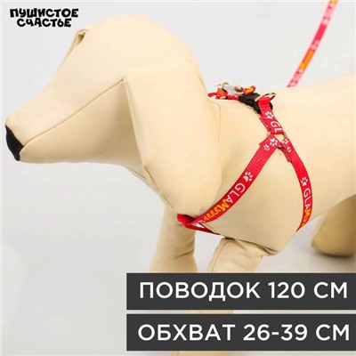 Комплект GlaМууур, шлейка 26-39 см, поводок 120х1 см