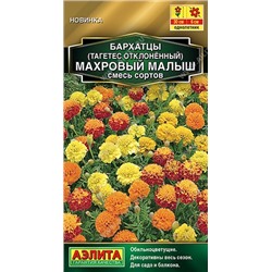 Бархатцы Махровый малыш (Код: 92395)