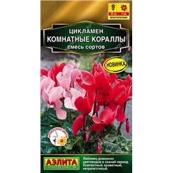 Цикламен Комнатные кораллы (Код: 89983)