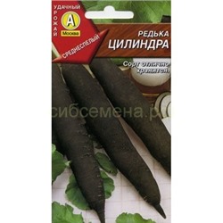 Редька Цилиндра черная (Аэлита)