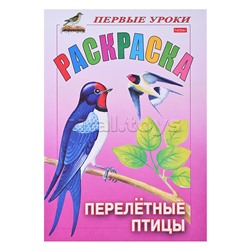 Раскраска. Первые уроки "Перелетные птицы" цветной блок на скобе