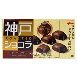 Молочный шоколад (бленд с какао Van Houten) Roasted Milk Cocoa Glico, Япония, 53 г Акция