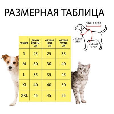 Толстовка с юбочкой "Косточки", размер M (ДС 30, ОШ 30, ОГ 40 см), розовая