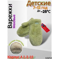 Детские варежки 1831924-1