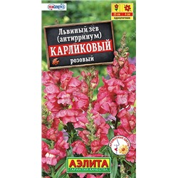 Львиный зев карликовый розовый (Аэлита)