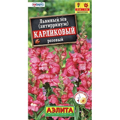 Львиный зев карликовый розовый (Аэлита)