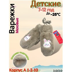 Детские варежки 1831906-7