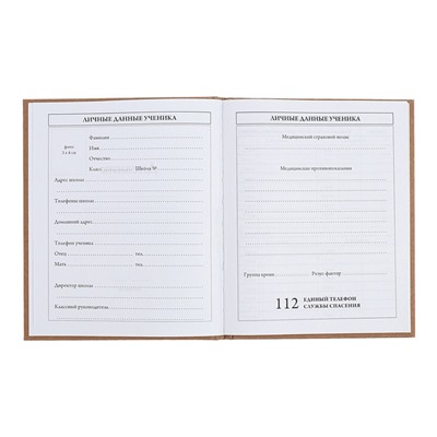 Дневник универсальный 5-11классов, 48 листов "Смайл", крафт, твердая обложка, блок 65 г/м2