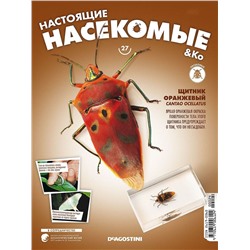 Журнал №27 "Настоящие насекомые" С ВЛОЖЕНИЕМ! Щитник оранжевый
