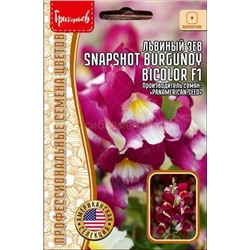 Львиный зев Snapshot Burgundy Bicolor - Снэпшот Бургунди биколор (Редкие)