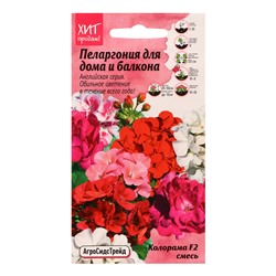 Семена цветов Пеларгония "Колорама F2 Смесь" для дома и балкона, 5 шт