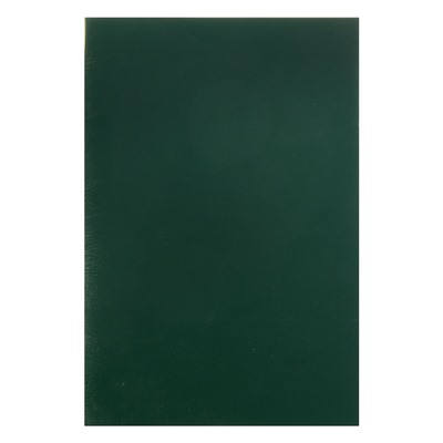 Тетрадь А4, 96 листов в клетку "Зелёная", обложка бумвинил, блок №2 (серые листы)