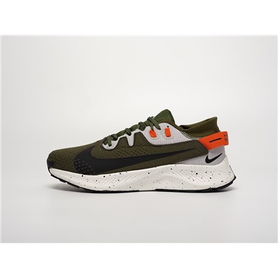 Кроссовки Nike Pegasus Trail 2