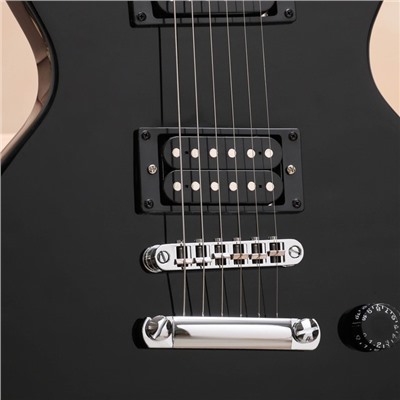 Электрогитара TERRIS TLP-039 BK Les Paul, HH, 2V2T, цвет черный