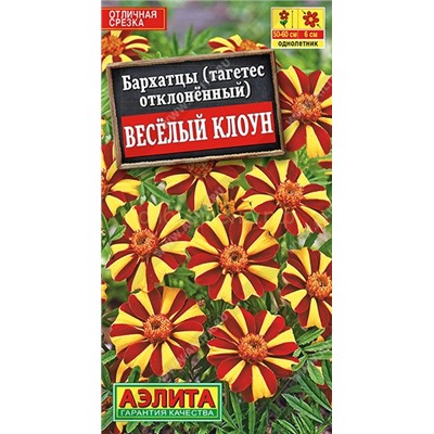 Бархатцы Веселый клоун  отклон. (Аэлита)